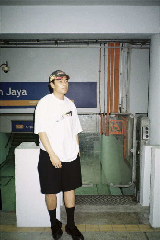 Rotten Paradise for Dametrill