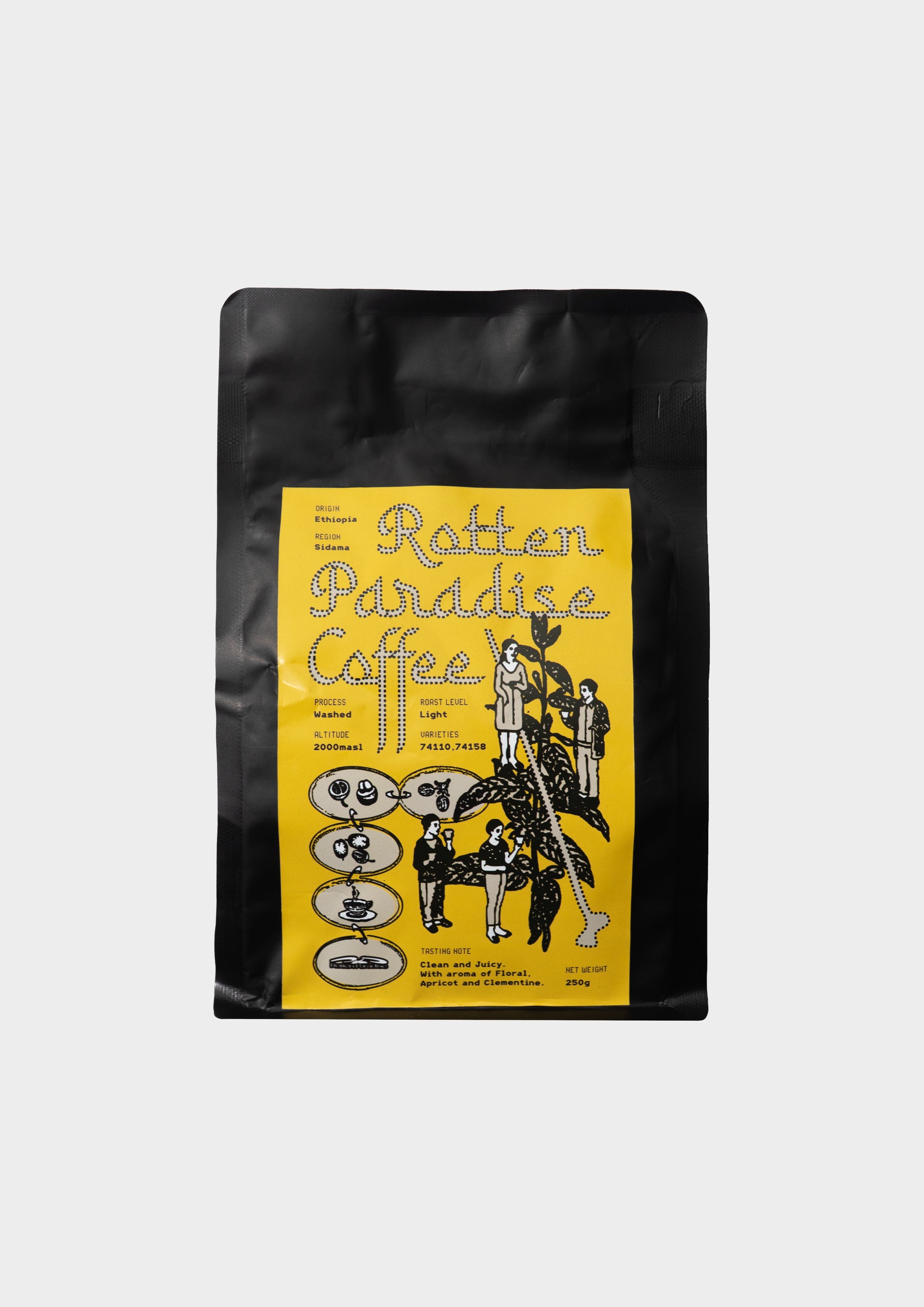 Rotten Paradise Coffee - Ethiopia Sidama Washed (250g)